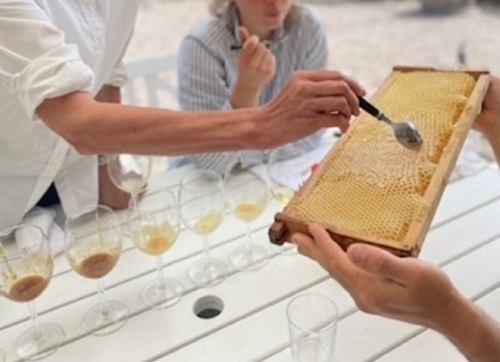 Honungsprovning