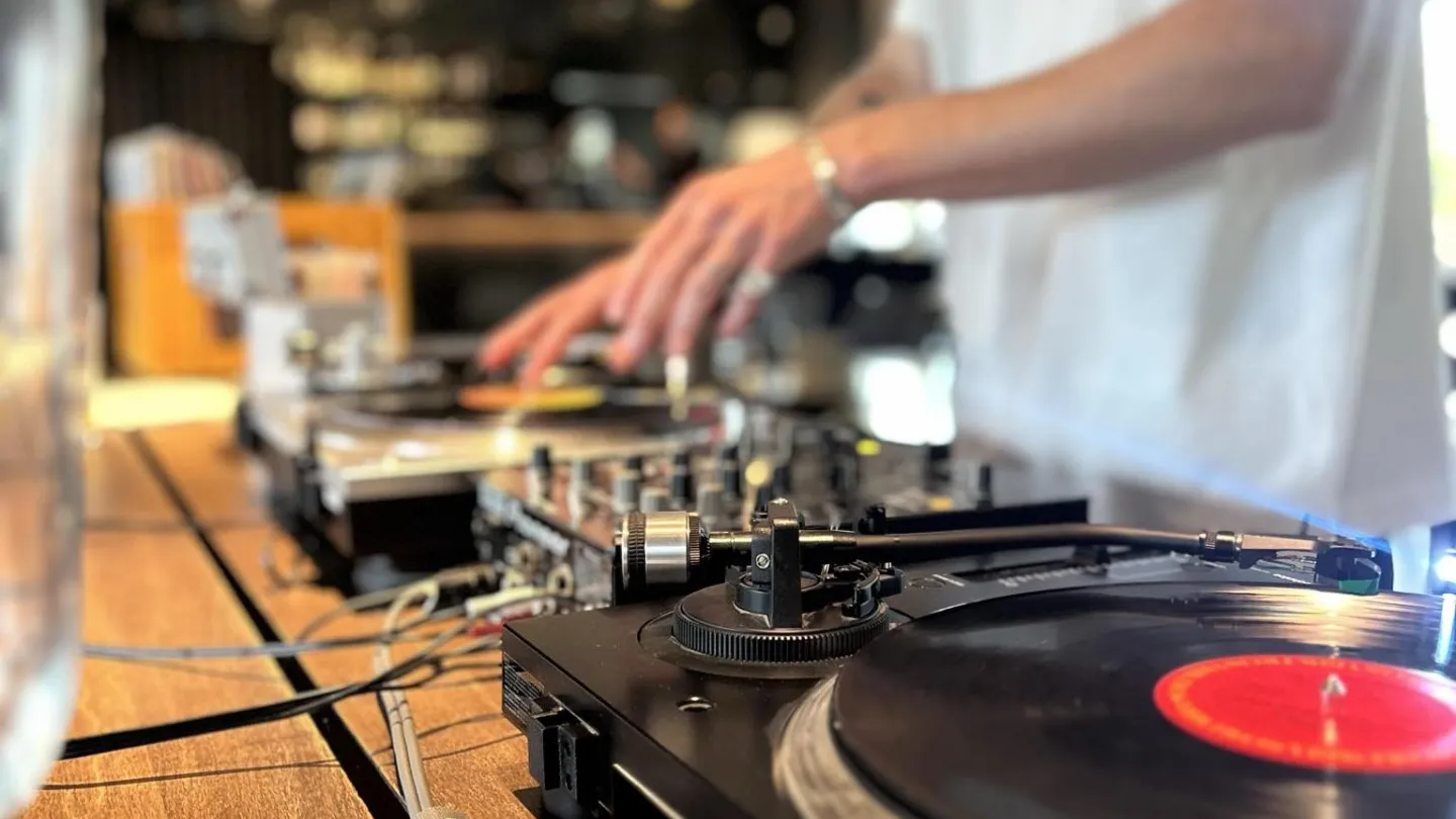 Vinyl-DJ Felix skivor