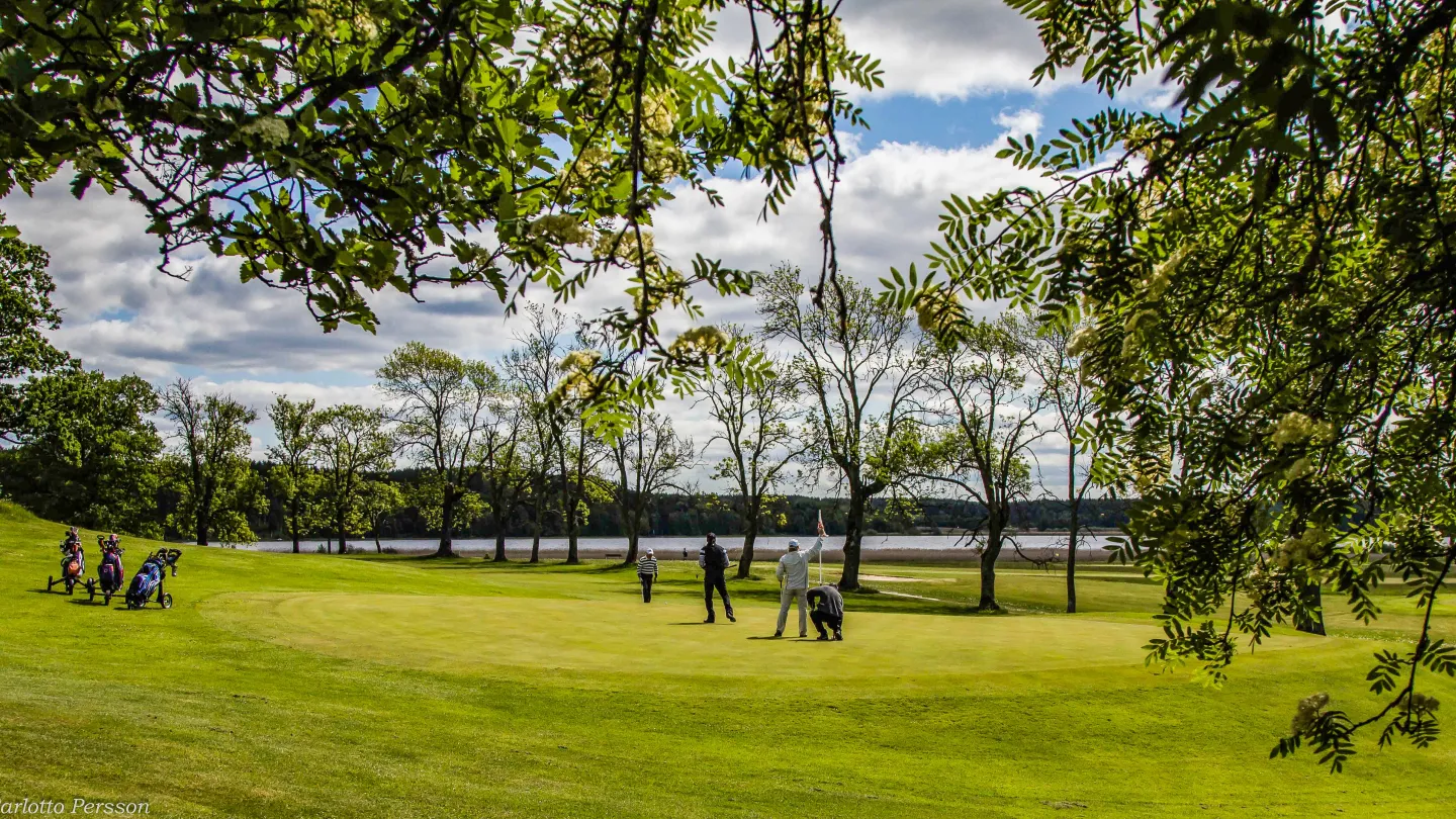 Spela golf på Sigtuna Golfklubb